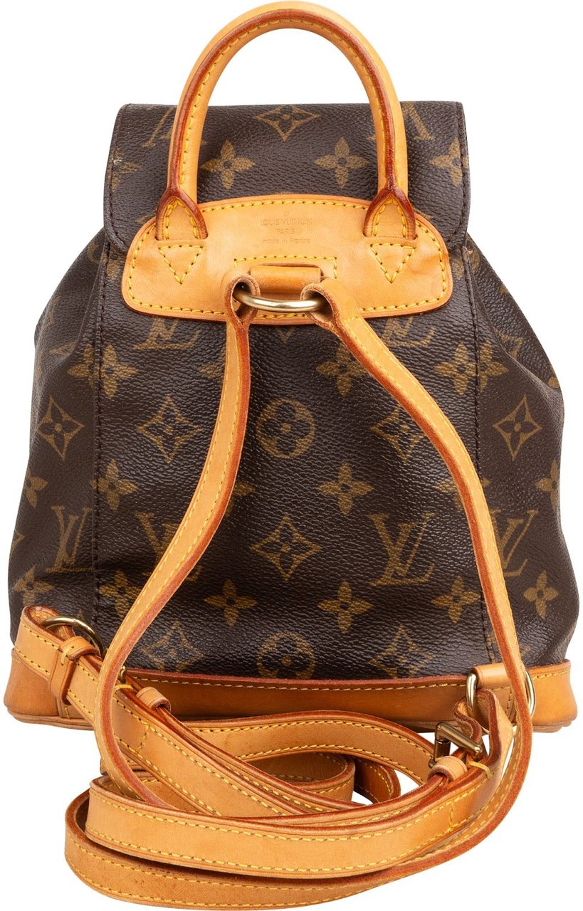 Louis Vuitton Monogram Canvas Montsouris PM Backpack Bruin