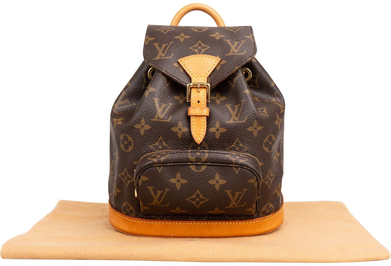 Louis Vuitton Monogram Canvas Montsouris PM Backpack Bruin