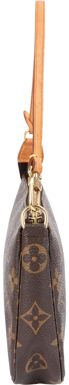Louis Vuitton Monogram Canvas Pochette Accessoires Handbag Bruin