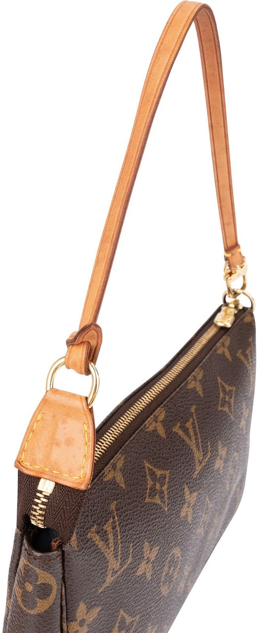 Louis Vuitton Monogram Canvas Pochette Accessoires Handbag Bruin
