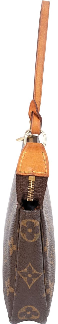 Louis Vuitton Monogram Canvas Pochette Accessoires Handbag Bruin