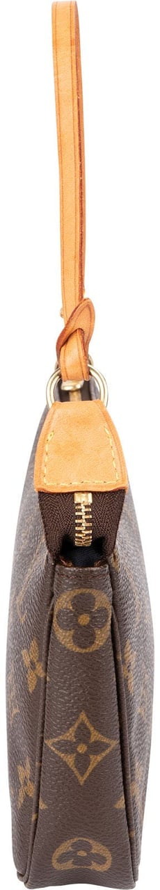 Louis Vuitton Monogram Canvas Pochette Accessoires Handbag Bruin
