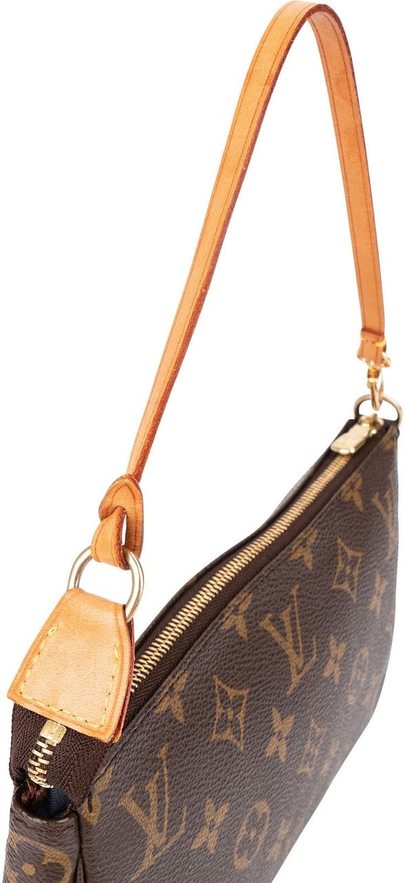Louis Vuitton Monogram Canvas Pochette Accessoires Handbag Bruin