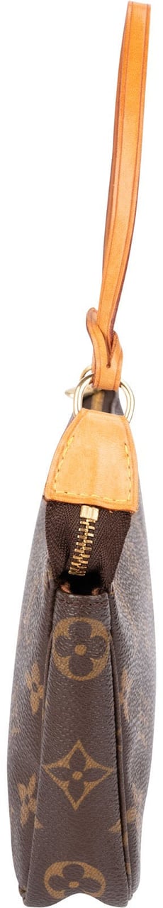 Louis Vuitton Monogram Canvas Pochette Accessoires Handbag Bruin