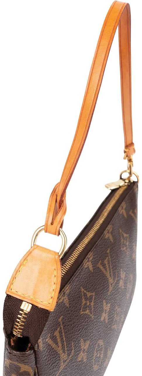 Louis Vuitton Monogram Canvas Pochette Accessoires Handbag Bruin