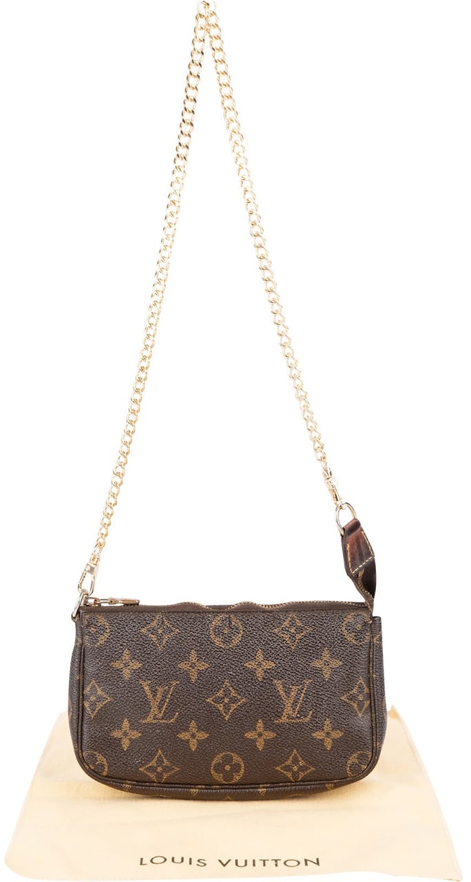 Louis Vuitton Monogram Canvas Mini Pochette Accessoires Shoulder Bag Bruin