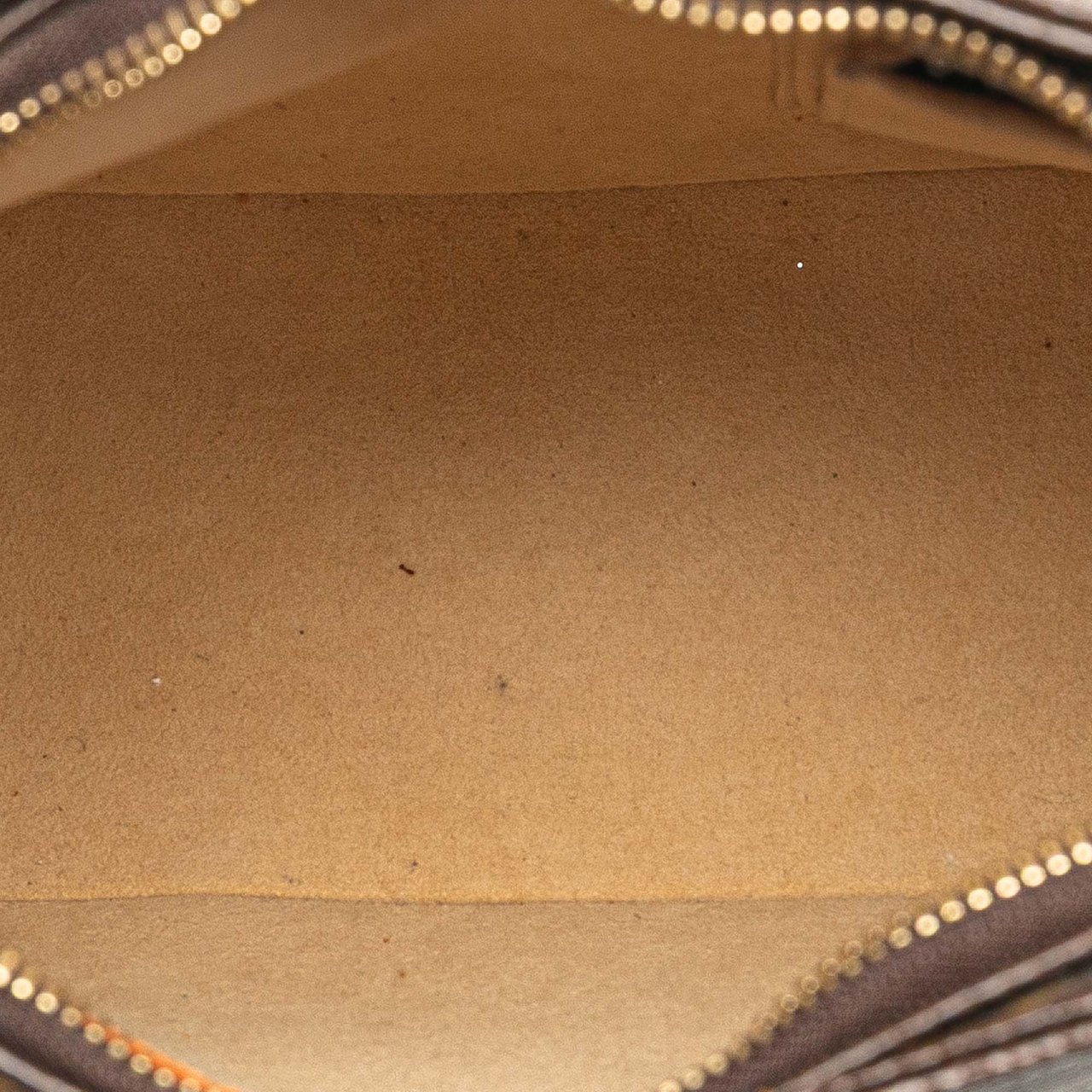 Louis Vuitton Monogram Looping MM Bruin