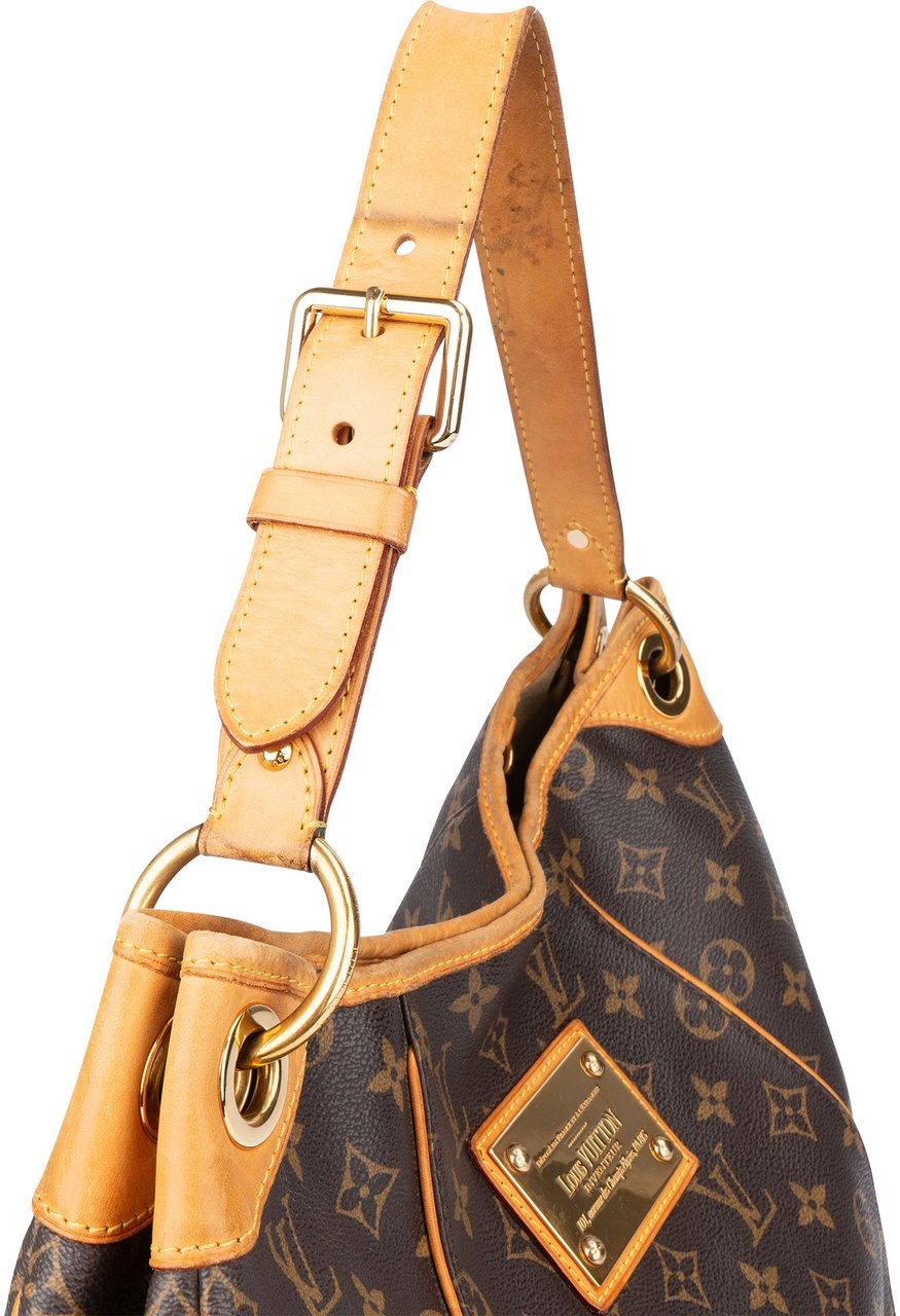 Louis Vuitton Louis Vuitton Canvas Monogram Galliera PM Handbag Bruin