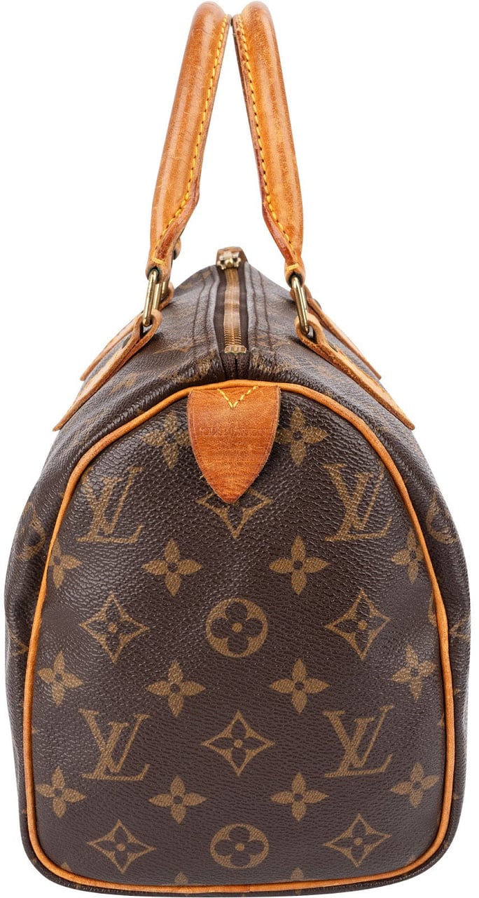 Louis Vuitton Monogram Canvas Speedy 25 Handbag Bruin