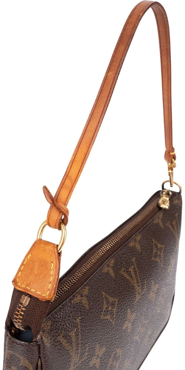 Louis Vuitton Monogram Canvas Pochette Accessoires Handbag Bruin