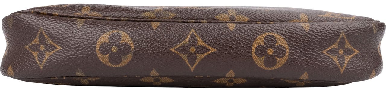 Louis Vuitton Monogram Canvas Pochette Accessoires Handbag Bruin