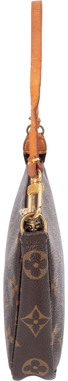 Louis Vuitton Monogram Canvas Pochette Accessoires Handbag Bruin