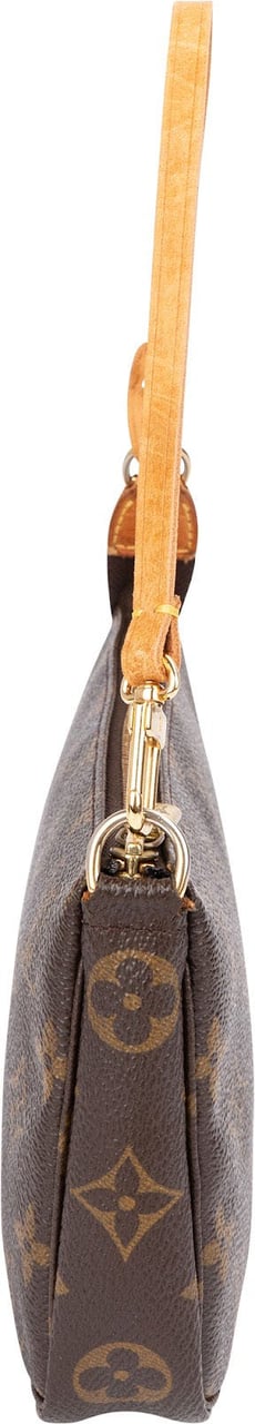 Louis Vuitton Monogram Canvas Pochette Accessoires Handbag Bruin