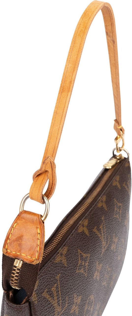 Louis Vuitton Monogram Canvas Pochette Accessoires Handbag Bruin