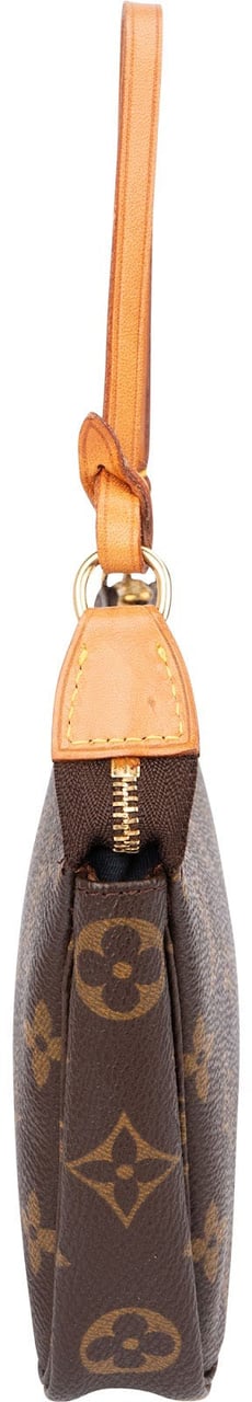 Louis Vuitton Monogram Canvas Pochette Accessoires Handbag Bruin