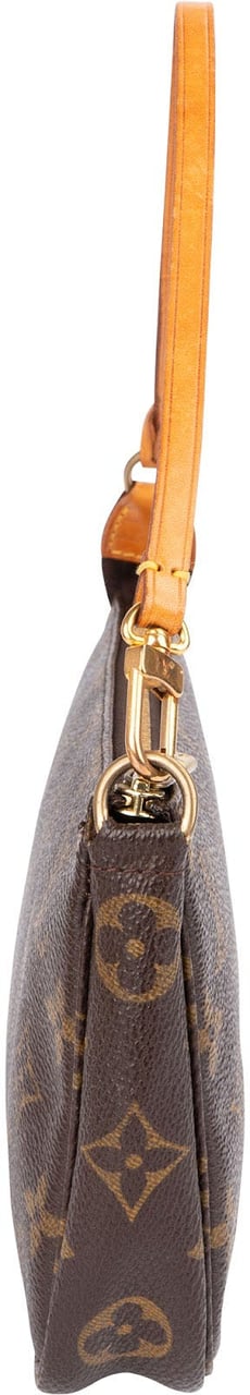 Louis Vuitton Monogram Canvas Pochette Accessoires Handbag Bruin