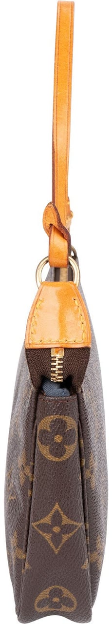 Louis Vuitton Monogram Canvas Pochette Accessoires Handbag Bruin