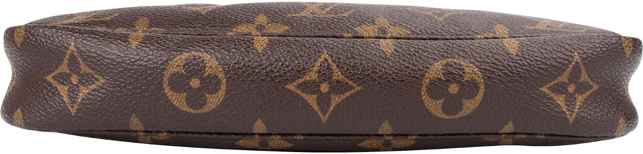 Louis Vuitton Monogram Canvas Pochette Accessoires Handbag Bruin
