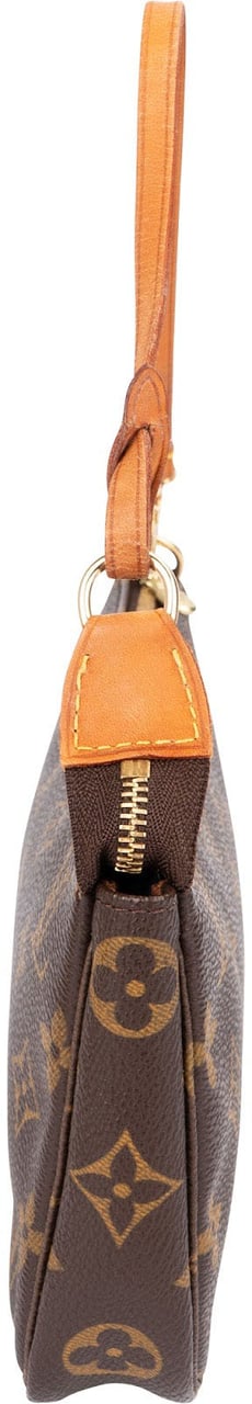 Louis Vuitton Monogram Canvas Pochette Accessoires Handbag Bruin