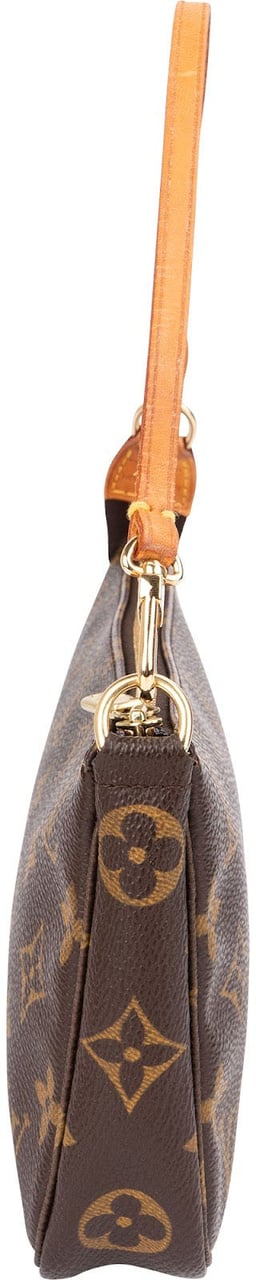 Louis Vuitton Monogram Canvas Pochette Accessoires Handbag Bruin