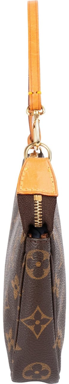 Louis Vuitton Monogram Canvas Pochette Accessoires Handbag Bruin
