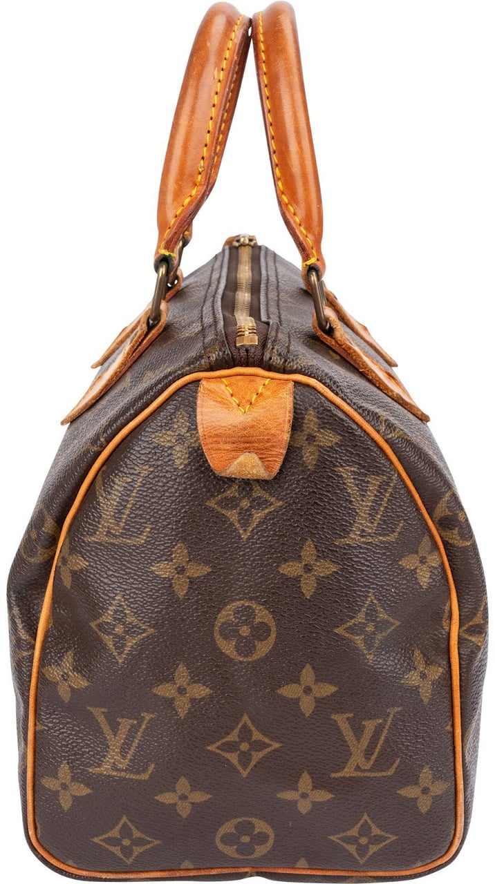 Louis Vuitton Monogram Canvas Speedy 25 Handbag Bruin