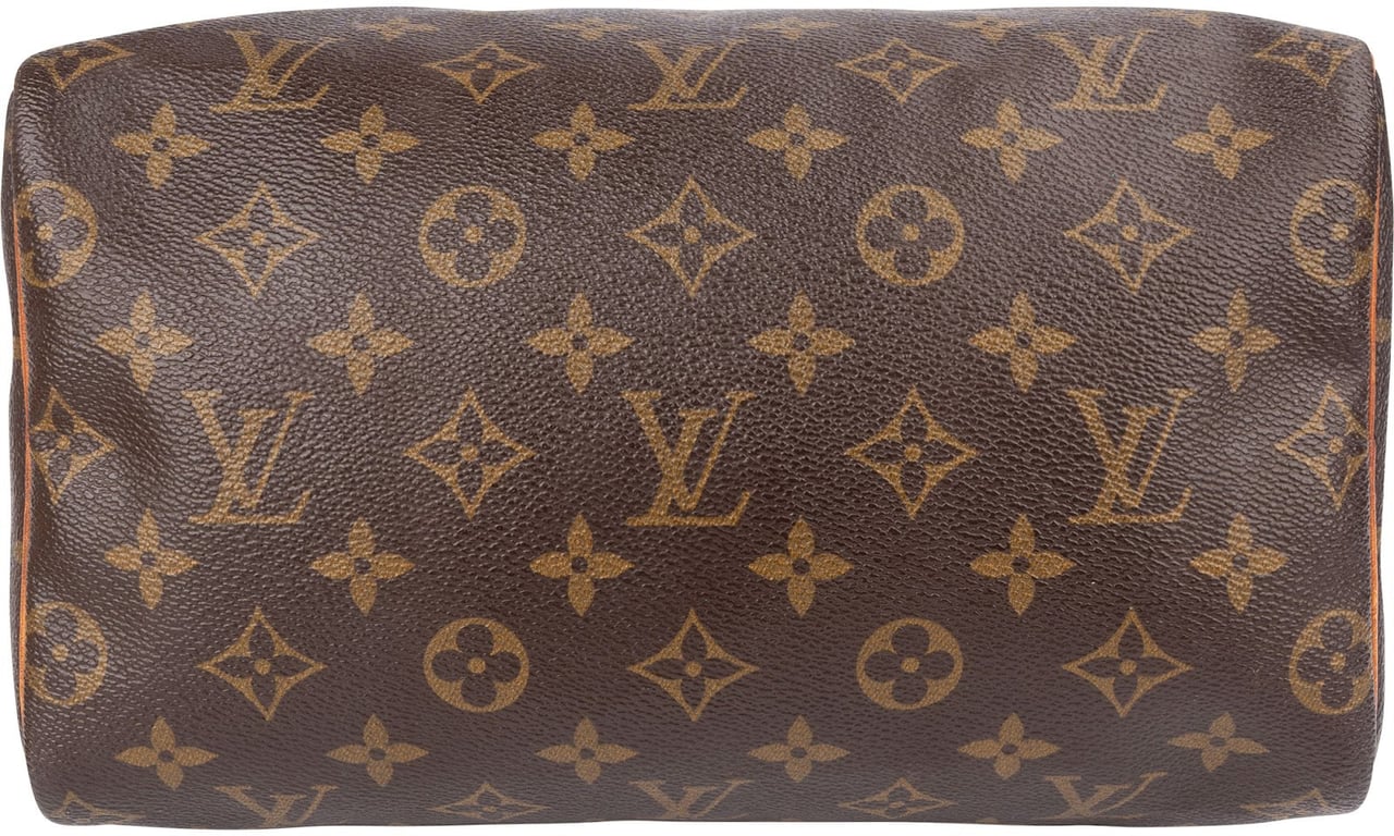Louis Vuitton Monogram Canvas Speedy 25 Handbag Bruin
