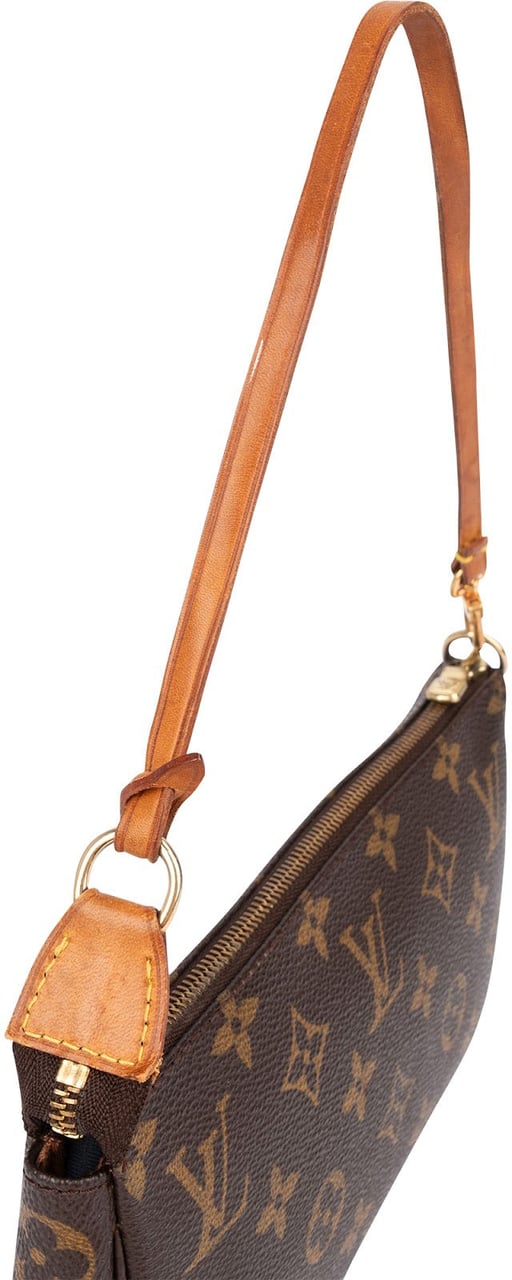 Louis Vuitton Monogram Canvas Pochette Accessoires Handbag Bruin