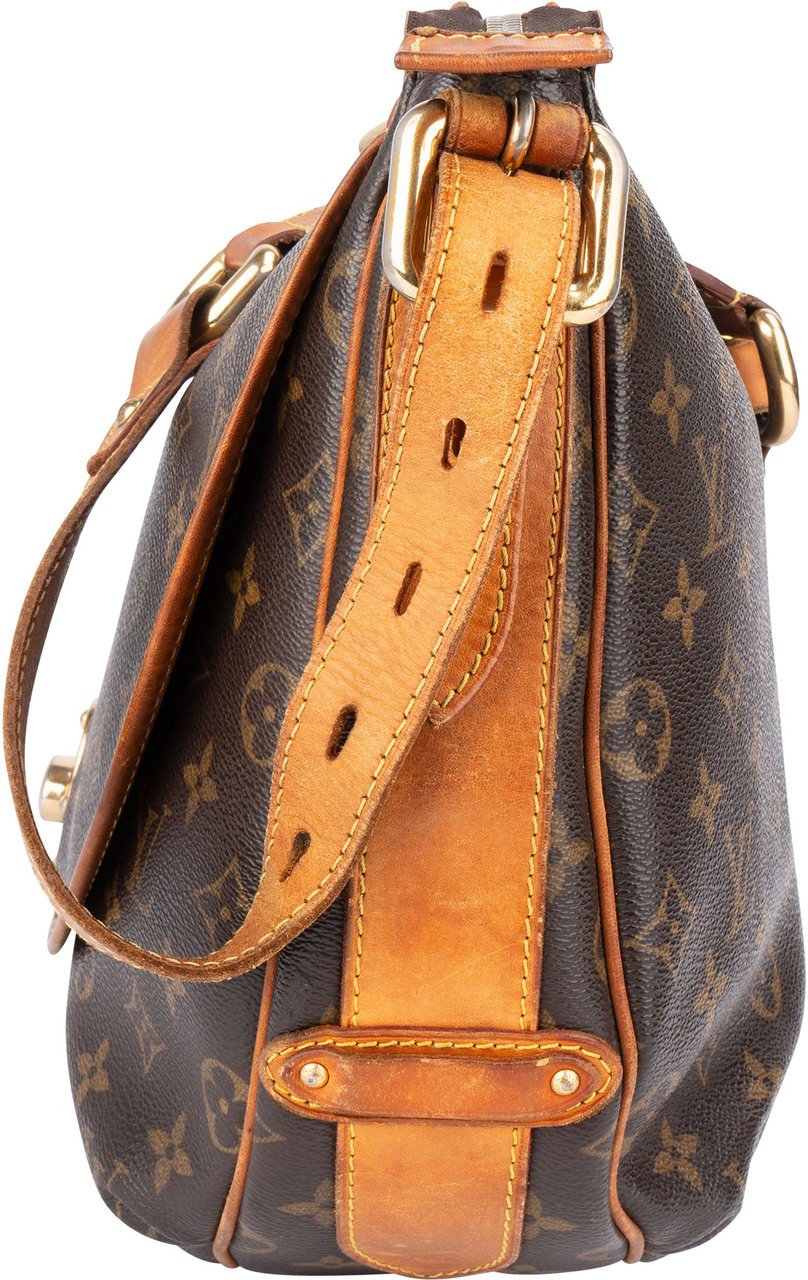 Louis Vuitton Louis Vuitton Canvas Monogram Tulum GM Crossbody Bag Bruin