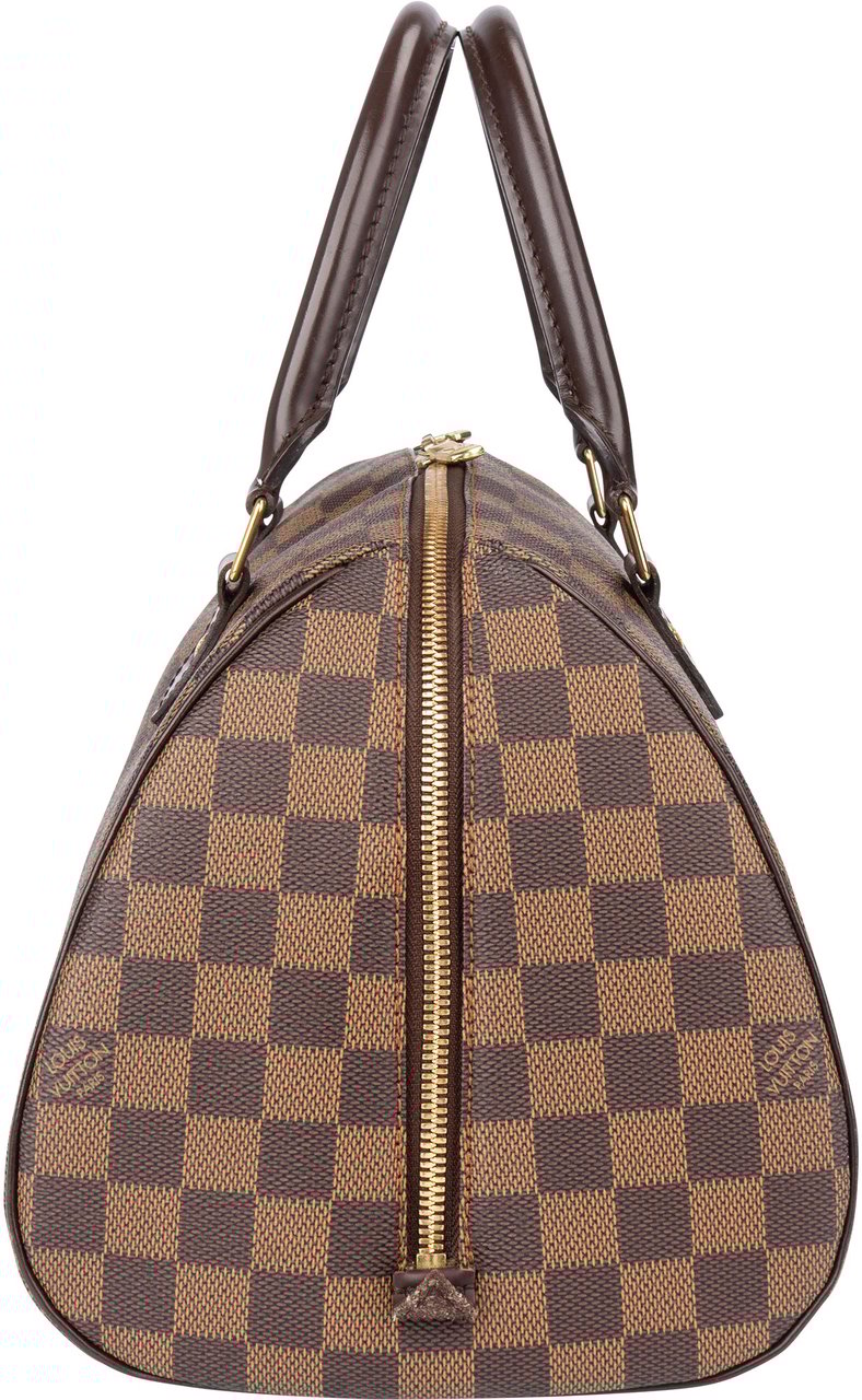 Louis Vuitton Louis Vuitton Damier Ebene Monogram Ribera Handbag Bruin