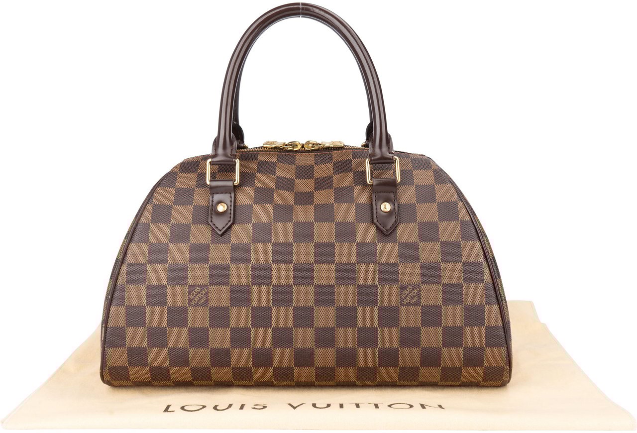 Louis Vuitton Louis Vuitton Damier Ebene Monogram Ribera Handbag Bruin
