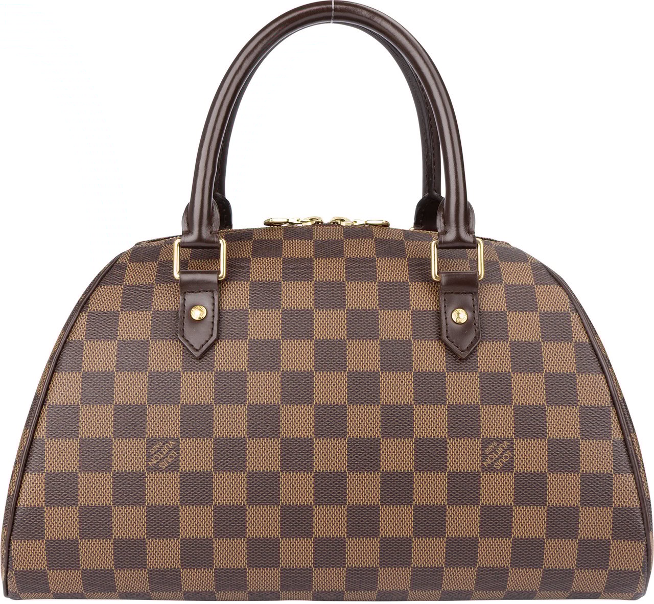 Louis Vuitton Louis Vuitton Damier Ebene Monogram Ribera Handbag Bruin