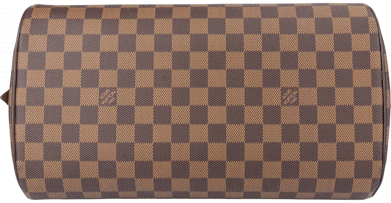 Louis Vuitton Louis Vuitton Damier Ebene Monogram Ribera Handbag Bruin