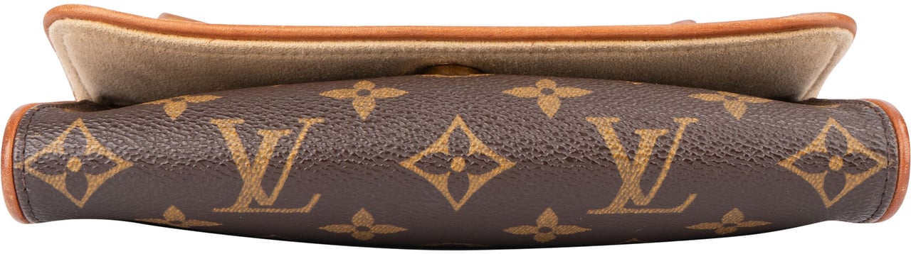 Louis Vuitton Louis Vuitton Canvas Monogram Pochette Twin PM Crossbody Bag Bruin
