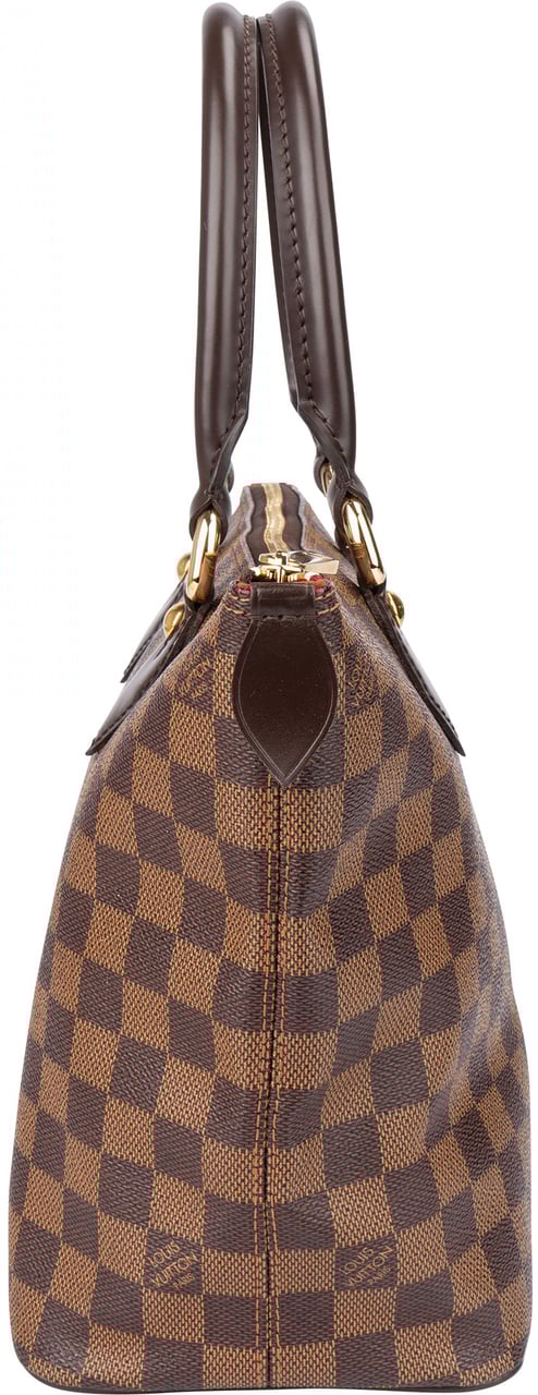 Louis Vuitton Louis Vuitton Damier Azur Monogram Saleya PM Handbag Bruin