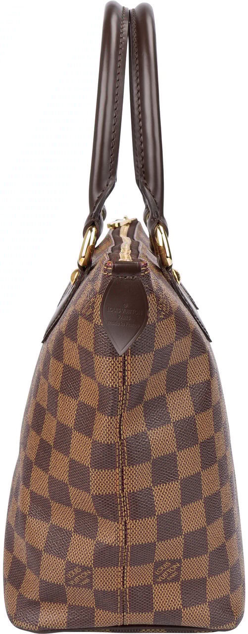 Louis Vuitton Louis Vuitton Damier Azur Monogram Saleya PM Handbag Bruin