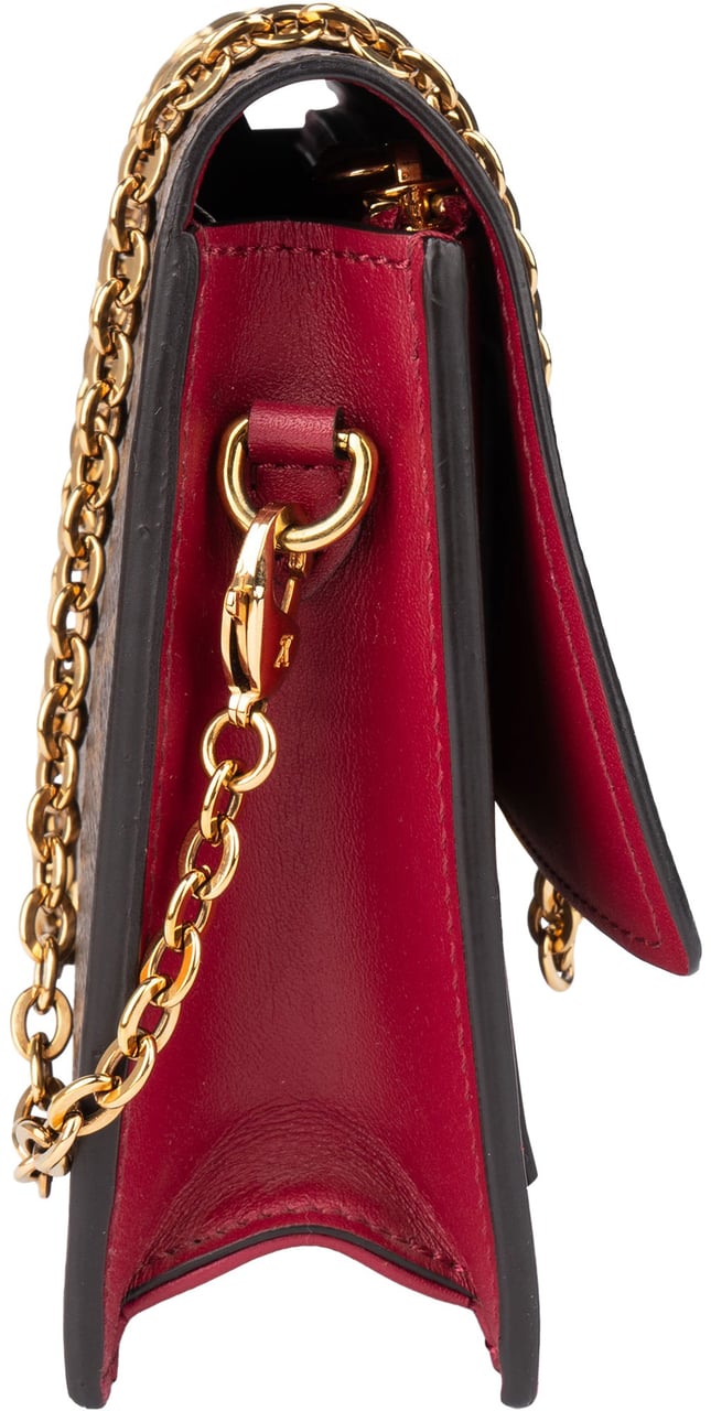 Louis Vuitton Canvas Monogram Flore Wallet On Chain Crossbody Bag Bruin