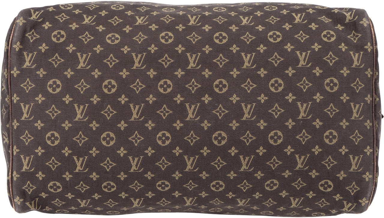 Louis Vuitton Louis Vuitton Mini Lin Monogram Speedy 30 Handbag Bruin