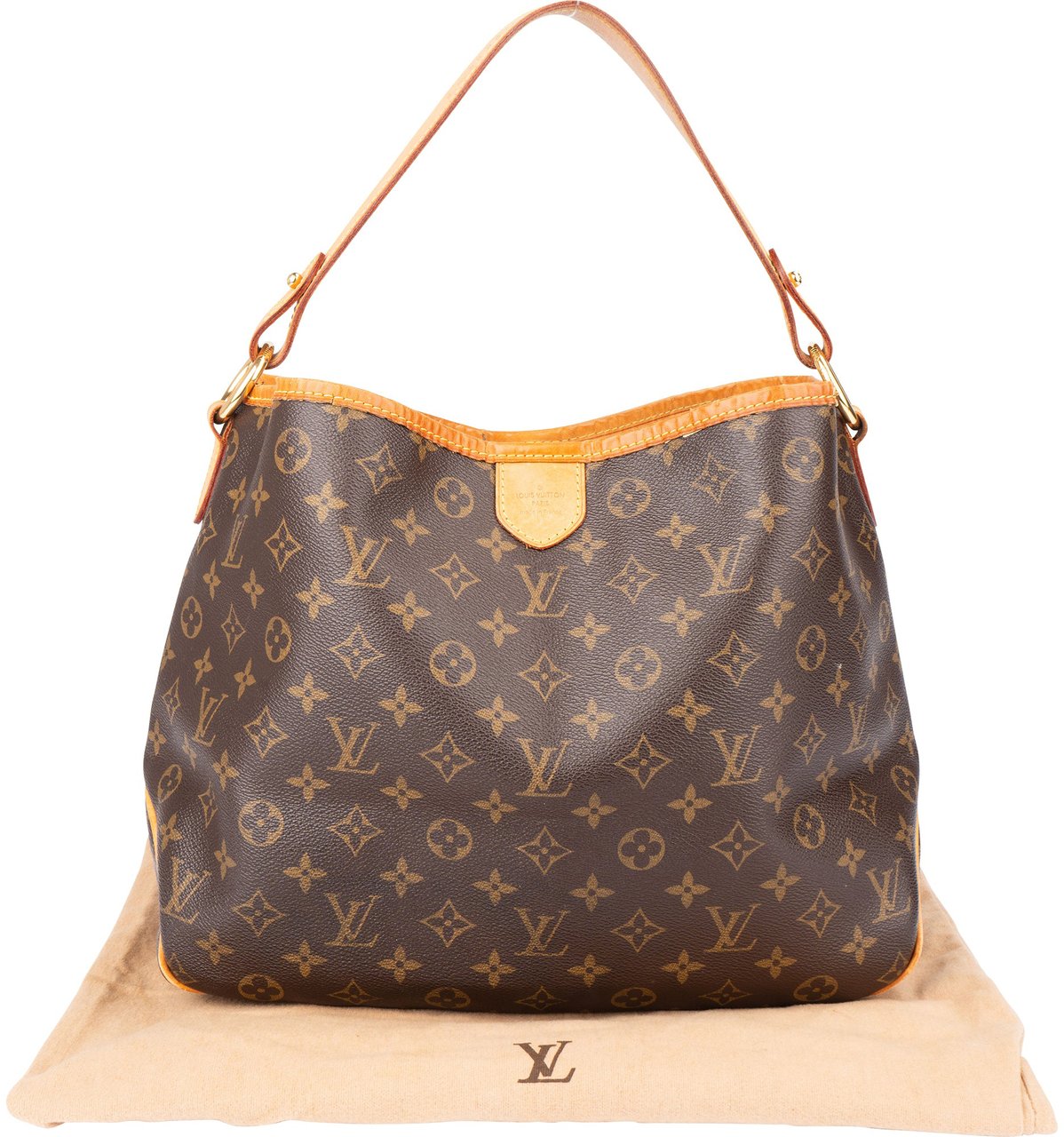 Louis Vuitton Louis Vuitton Canvas Monogram Delightful PM Handbag Bruin