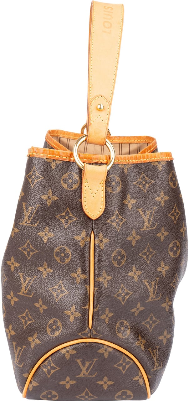 Louis Vuitton Louis Vuitton Canvas Monogram Delightful PM Handbag Bruin