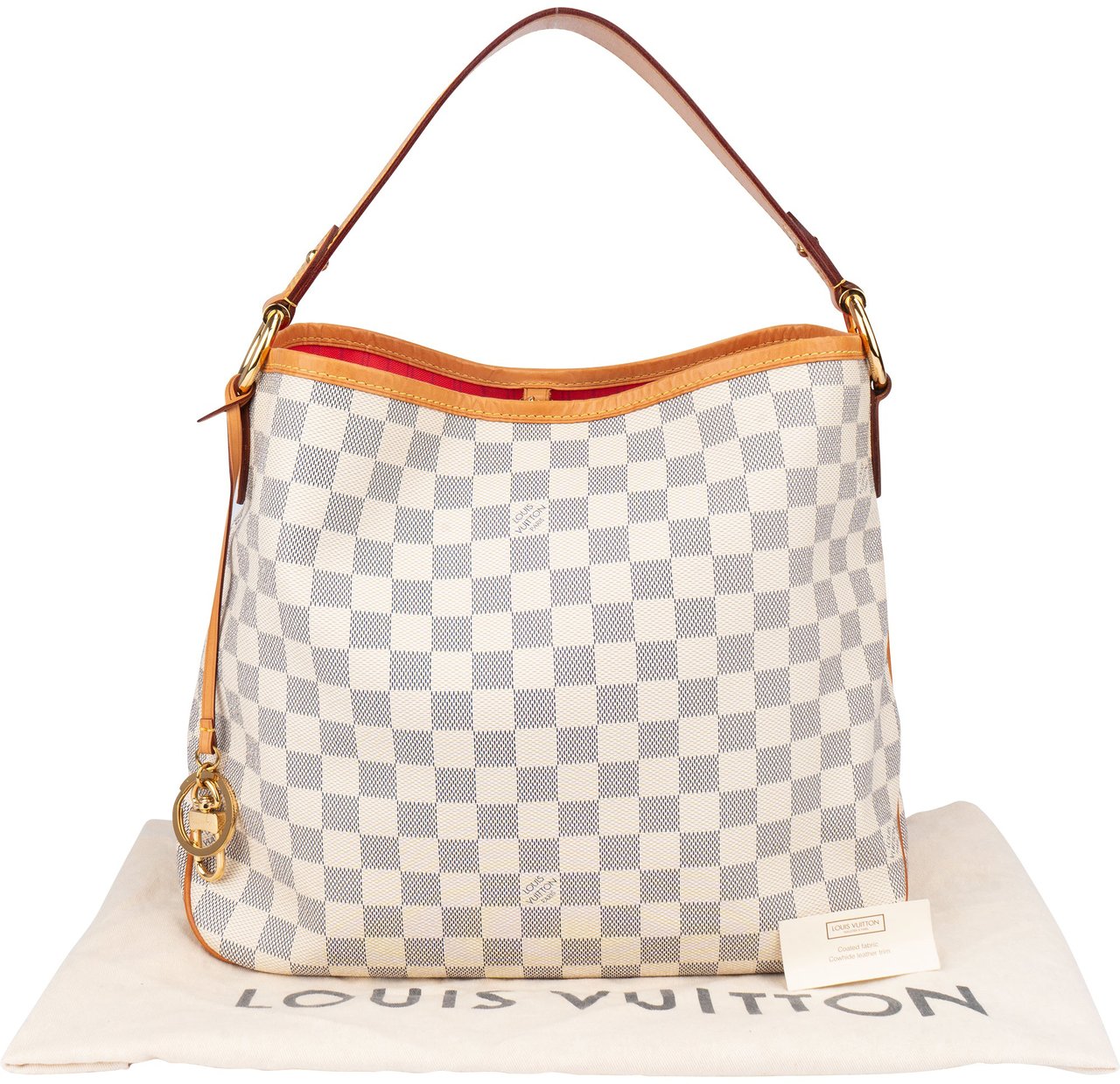 Louis Vuitton Louis Vuitton Damier Azur Monogram NM Delightful PM Handbag Bruin