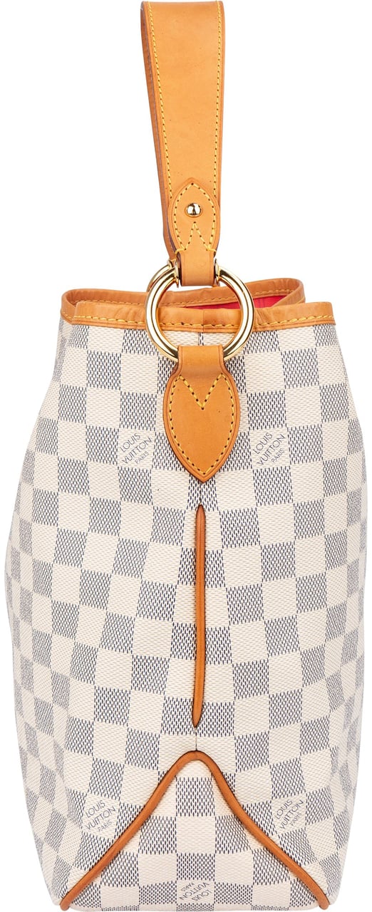Louis Vuitton Louis Vuitton Damier Azur Monogram NM Delightful PM Handbag Bruin