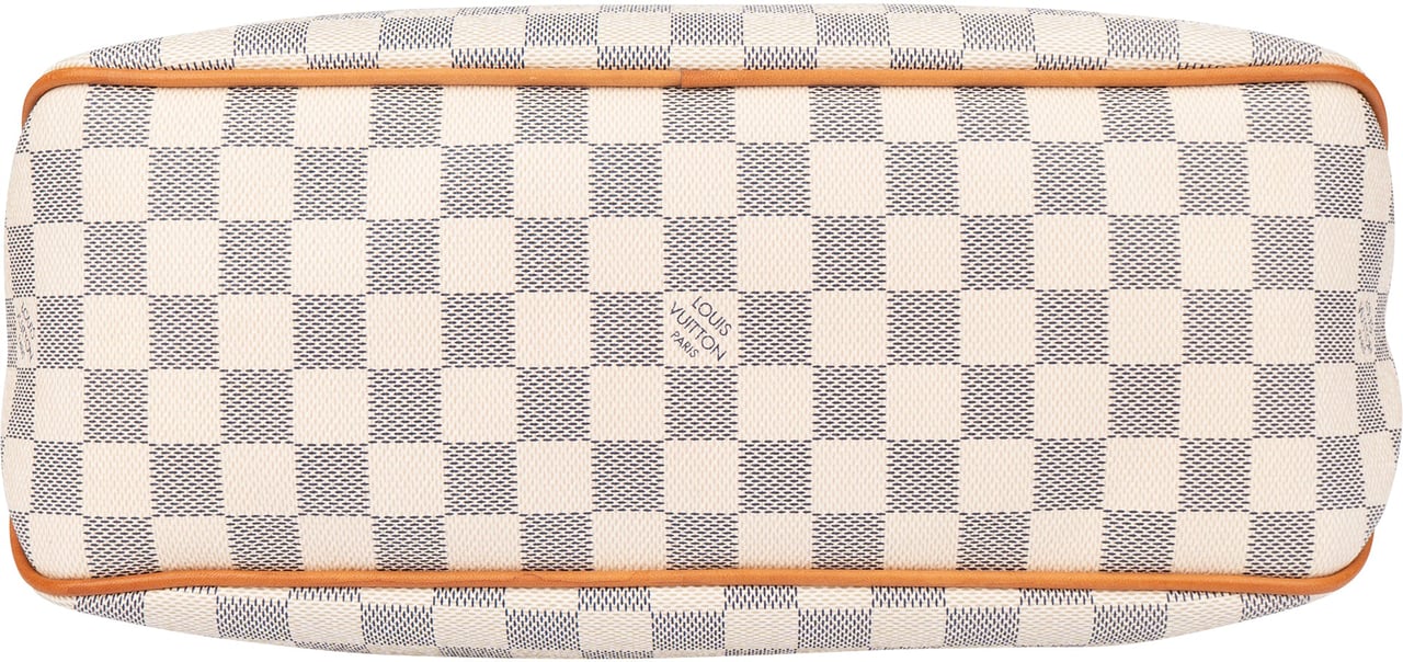 Louis Vuitton Louis Vuitton Damier Azur Monogram NM Delightful PM Handbag Bruin