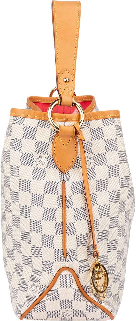 Louis Vuitton Louis Vuitton Damier Azur Monogram NM Delightful PM Handbag Bruin