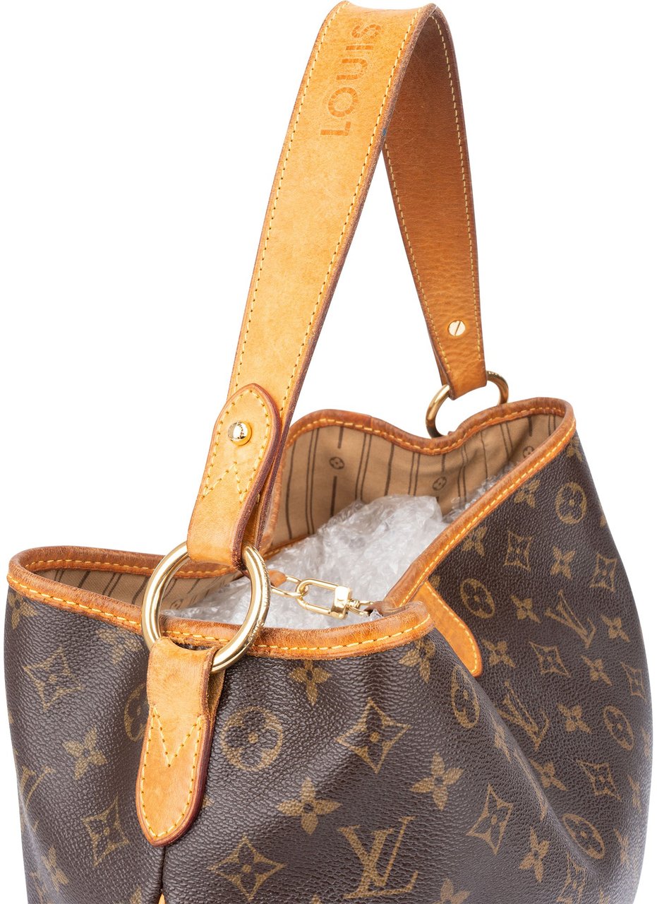 Louis Vuitton Louis Vuitton Canvas Monogram Delightful PM Handbag Bruin