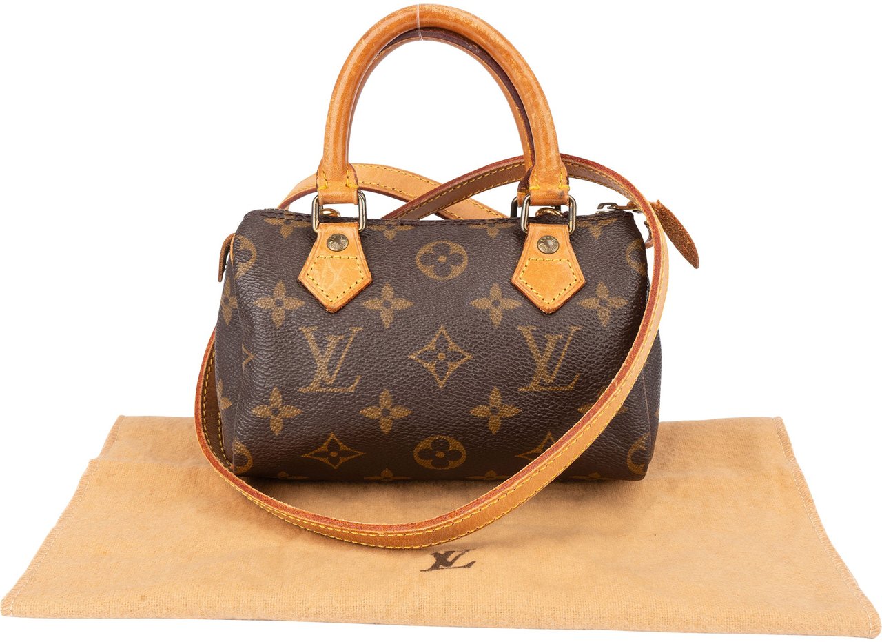 Louis Vuitton Louis Vuitton Canvas Monogram Mini Speedy Handbag Bruin