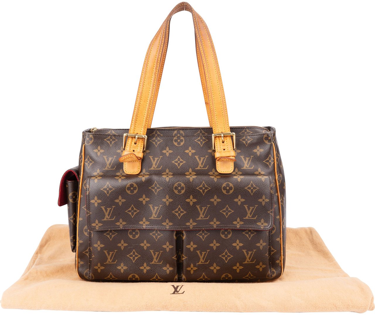 Louis Vuitton Canvas Monogram Multipli Cite Handbag Bruin