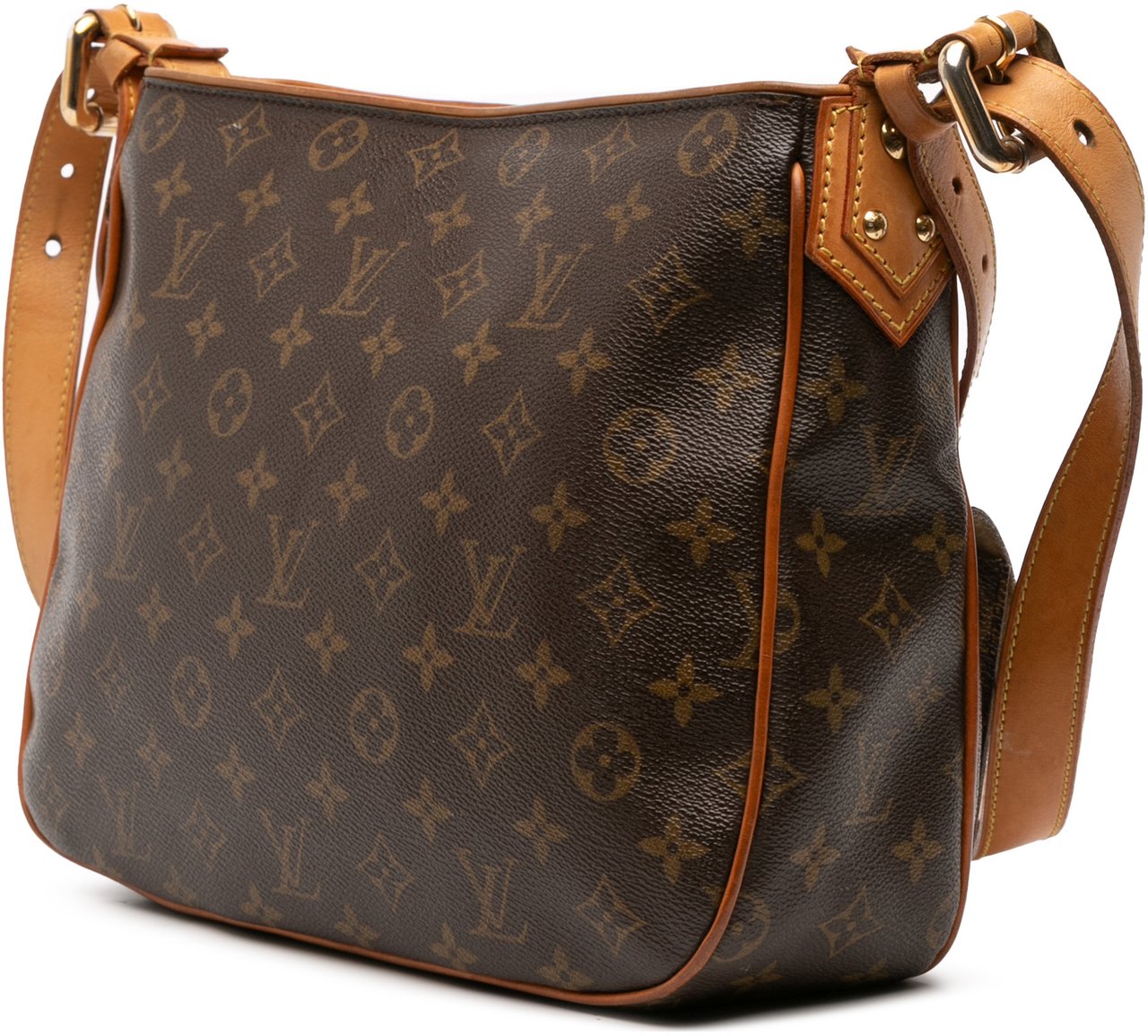 Louis Vuitton Monogram Hudson GM Bruin