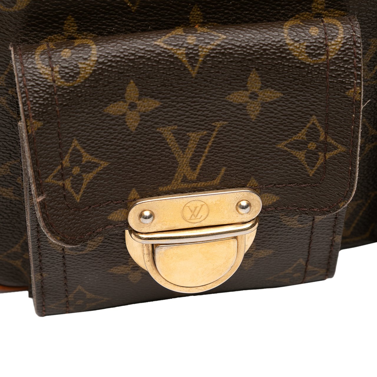 Louis Vuitton Monogram Hudson GM Bruin