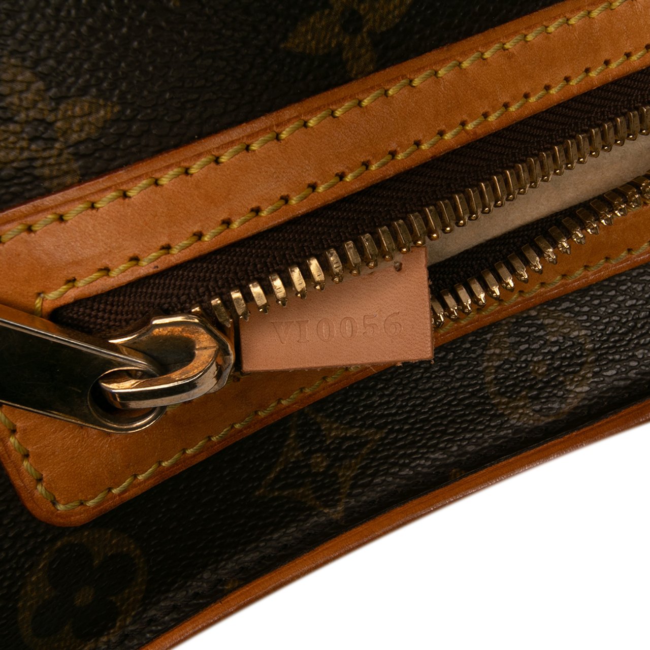 Louis Vuitton Monogram Hudson GM Bruin
